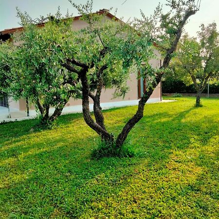 Apartament Il Melograno Lukka Zewnętrze zdjęcie