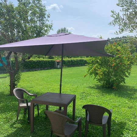 Apartament Il Melograno Lukka Zewnętrze zdjęcie